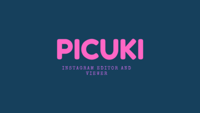 Picuki Instagram