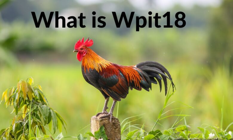 WPIT18 Review