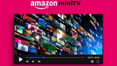 Amazon MiniTv IndiaSinghTechCrunch